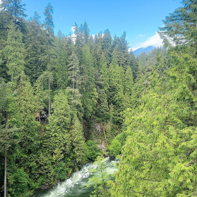 Vancouver 흔들다리가 있는 공원Capilano suspension Bridge Park