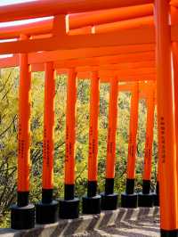 【青森にもあった！】千本鳥居絶景スポット⛩️⛩️高山稲荷神社