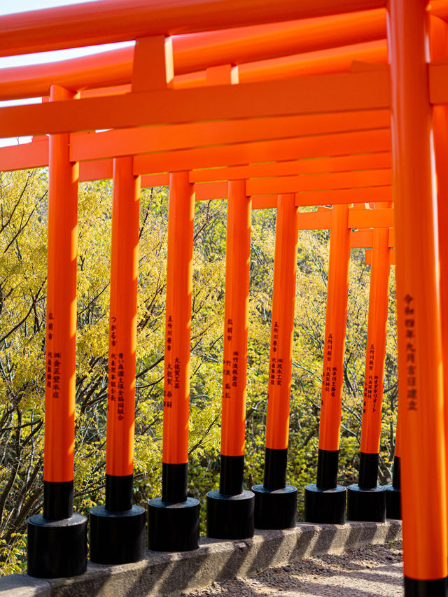 【青森にもあった！】千本鳥居絶景スポット⛩️⛩️高山稲荷神社