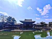 One day tri in Uji