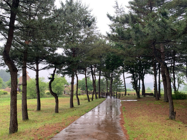 "오산리 선사유적 박물관: 시간을 건너 선사의 이야기를 만나다"