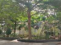Dailyhome cafe & Restaurant 