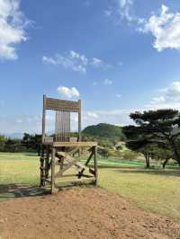 윈도우 배경화면이 생각나는 < 화랑의언덕 >