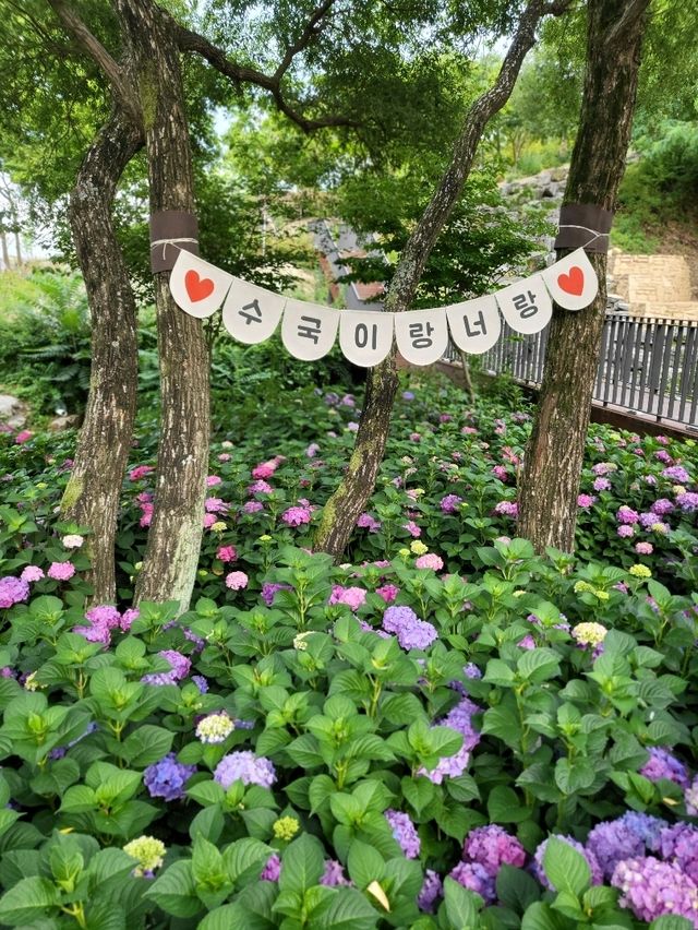 가족나들이하기 좋은 월아산 숲속의 진주