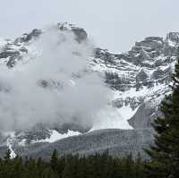 Frosted pine trees at the canadian Rockies