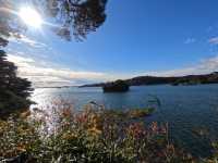 Matsushima: A Day Trip Paradise of Islands
