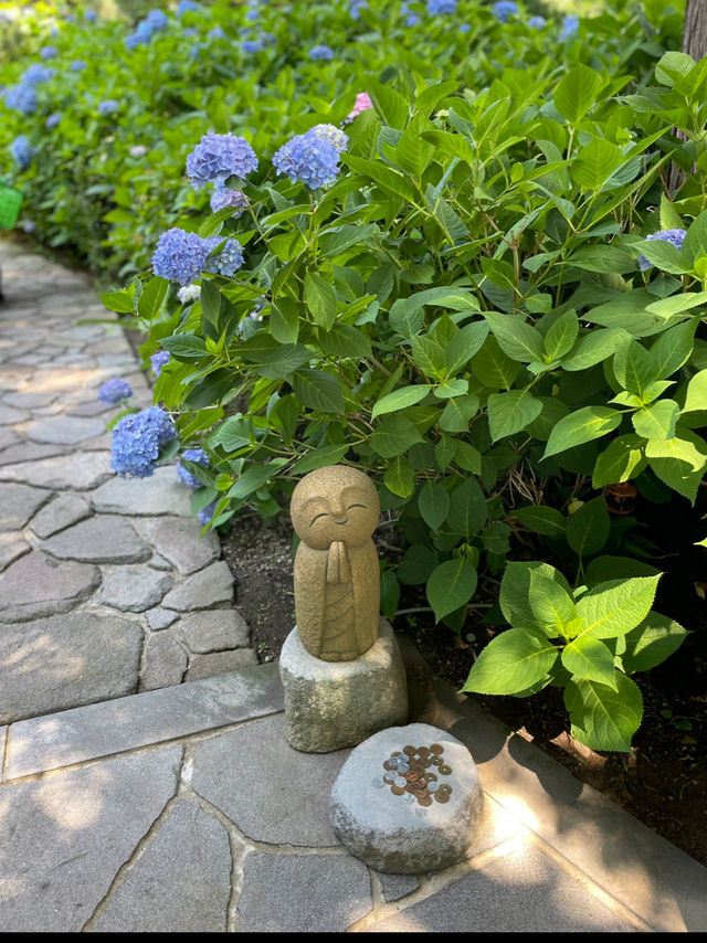 一生に一度は訪れたい💙世界の絶景💙あじさいの雲昌寺☺️💠✨