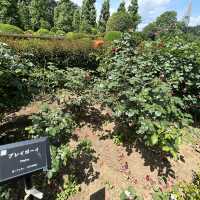 【新宿御苑】都会にある自然豊かなスポット