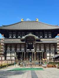 【保存版🔖】奈良旅の王道スポット3選👑1日で巡るプラン付き🗓️‼️