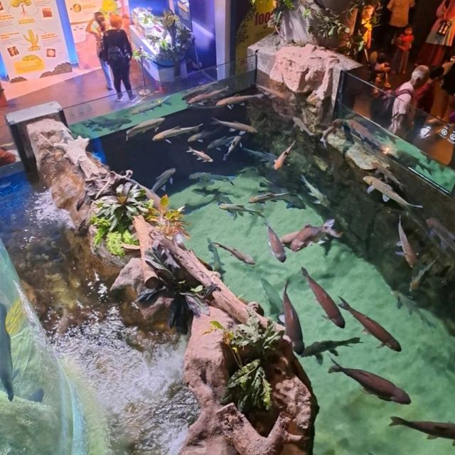 🌊 Dive into the Depths of Aquaria KLCC! 🌊