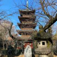 日本的文化遺產上野東照宮是上野恩賜公園內的神社