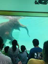 พาเด็กๆมาใกล้ชิดธรรมชาติกันที่สวนสัตว์เปิดเขาเขียว