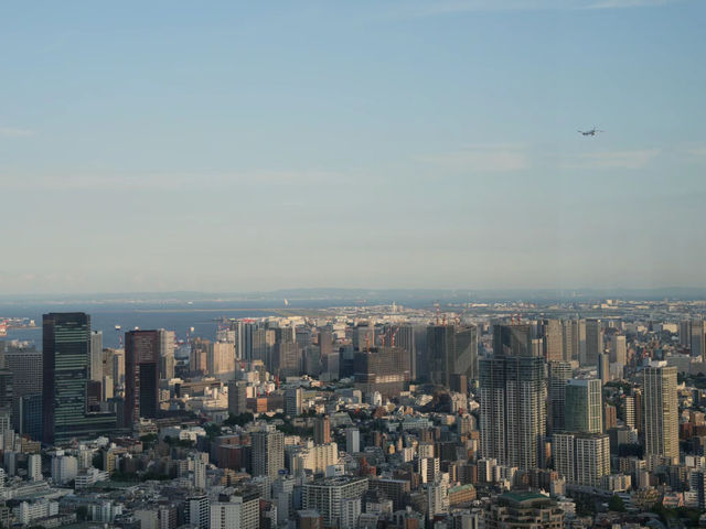 【東京六本木展望台】絕佳機位，建議網上提前買票🏖️🏖️🔥