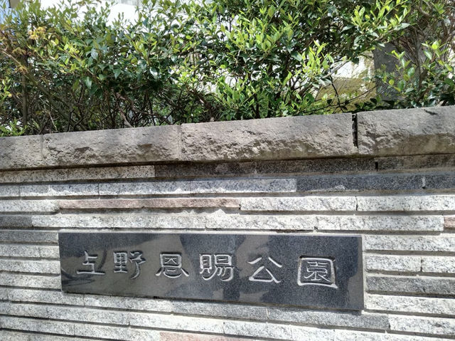 【東京】上野公園🔥：魯迅筆下的緋紅輕雲，享受東京慢生活🏖️🏖️