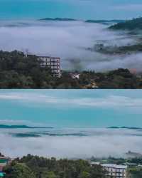 เขาค้อ 2 วัน 1 คืน@เพชรบูรณ์