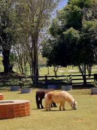 แลนด์มาร์คเขาใหญ่ Rancho Charnvee