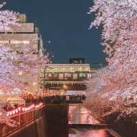 【東京自由行】中心區域景點、美食、購物，推薦住宿
