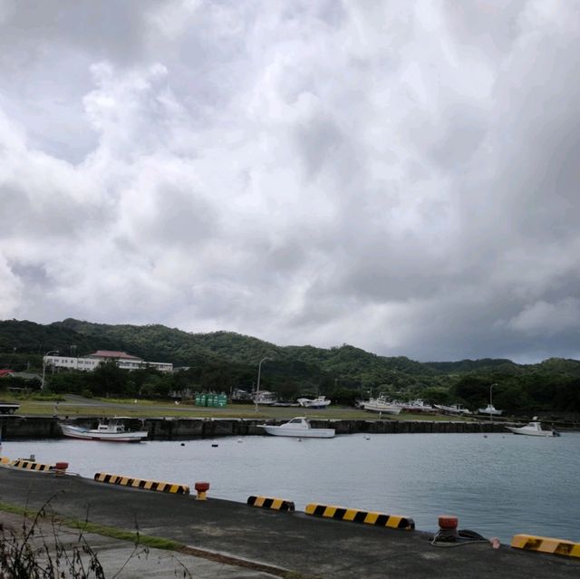 ウミガメの海🏝️奄美大島✨笠利漁港
