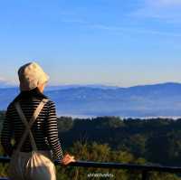 ภูเฆฆตะวัน รีสอร์ทวิวสวยบนดอยแม่สลอง
