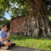 Divine Encounter: The Sacred Buddha Head Entwined in Banyan Roots