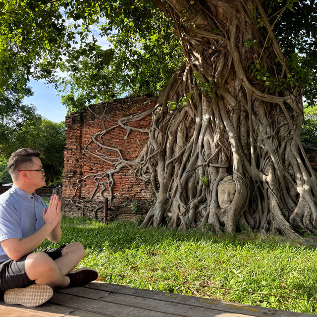 Divine Encounter: The Sacred Buddha Head Entwined in Banyan Roots