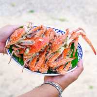  Zaap Sea Chumphon 