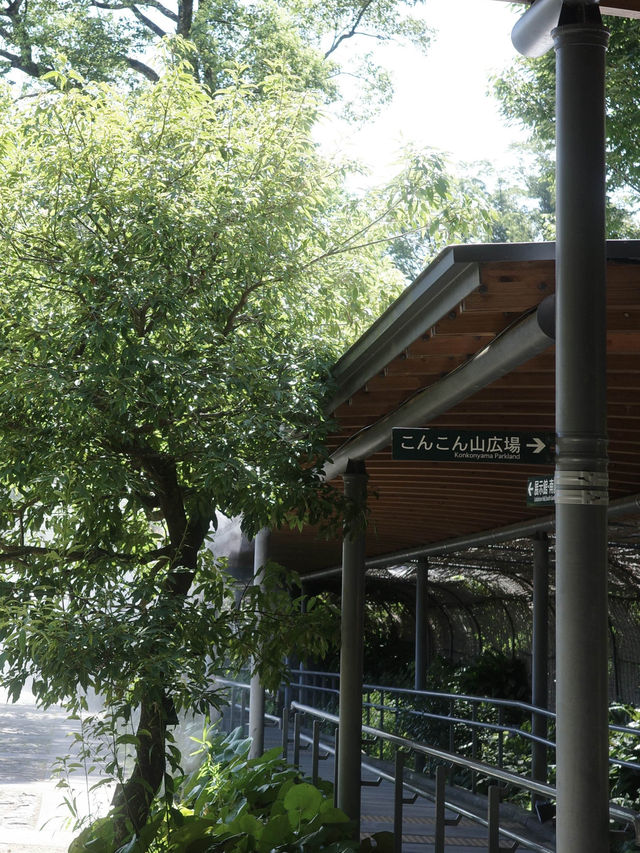 📍こんこん山広場/高知