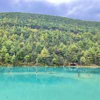 ONE Day Trip Jade Dragon Snow Mountain🏔️
