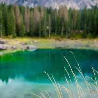 🇮🇹 A very beautiful Lake Carezza, Dolomites, Italy