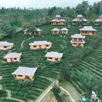 ลีไวน์รักไทย รีสอร์ท แม่ฮ่องสอน