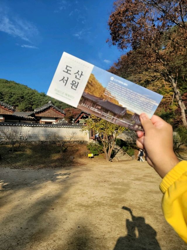 가을이면 더 아름다운 안동 필수여행지🤎