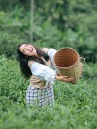 ไร่ชาลุงเดช