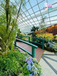 🇸🇬 Flower Dome Impressions of Monet