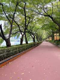 【韓国/ソウル】都会の真ん中に湖が！ロッテワールドタワーのふもとにある公園
