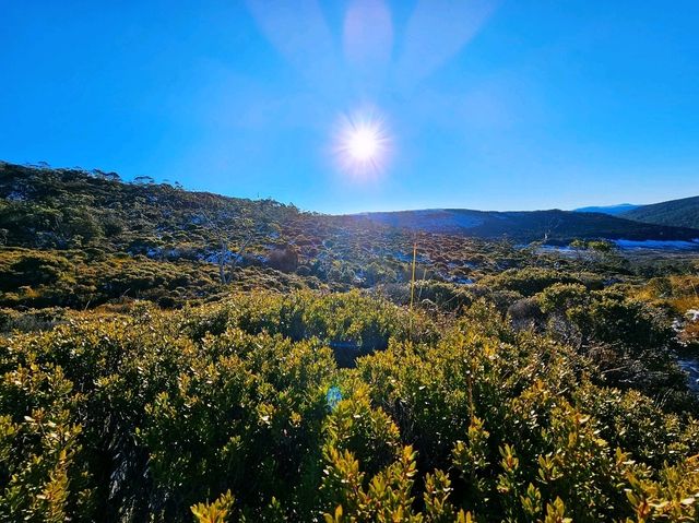 Cradle Mountain: A Hiker's Dream Adventure!