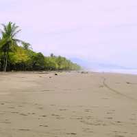 Uncover the Natural Wonders of Costa Rica