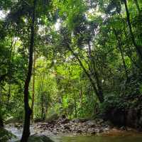 🇲🇾 Lepoh Waterfall: Your Next Forest Adventure!" 