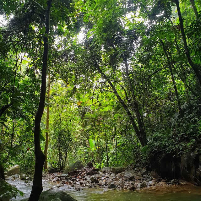 🇲🇾 Lepoh Waterfall: Your Next Forest Adventure!" 