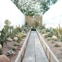 “CHAN Nature Cafe’”