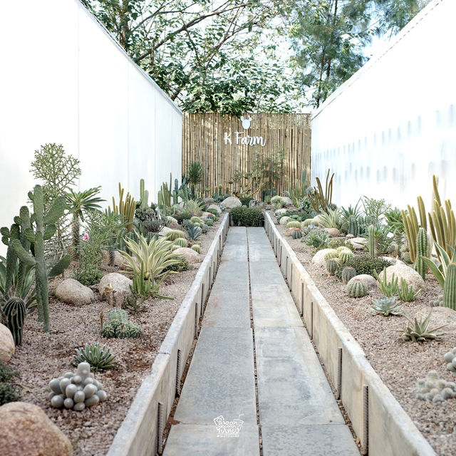 “CHAN Nature Cafe’”
