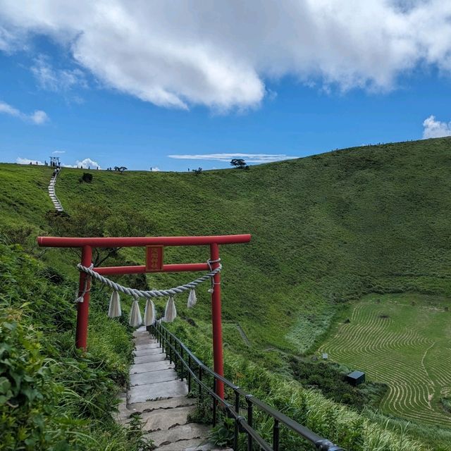 你的名字君の名は