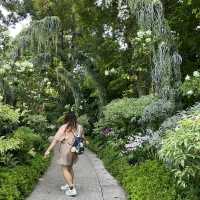 Take a breath and enjoy the flowers