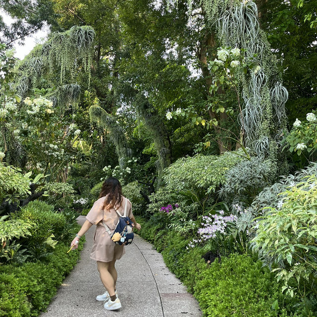 Take a breath and enjoy the flowers