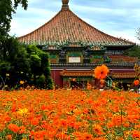 Flower show at Beijing BeiHai Park 