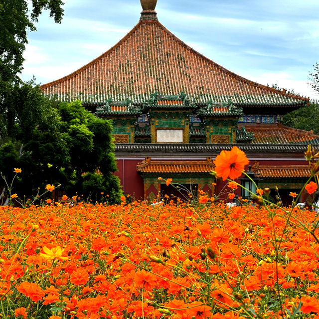 Flower show at Beijing BeiHai Park 