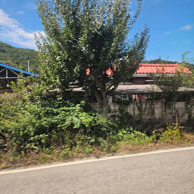 논밭이 많은 괴산투어