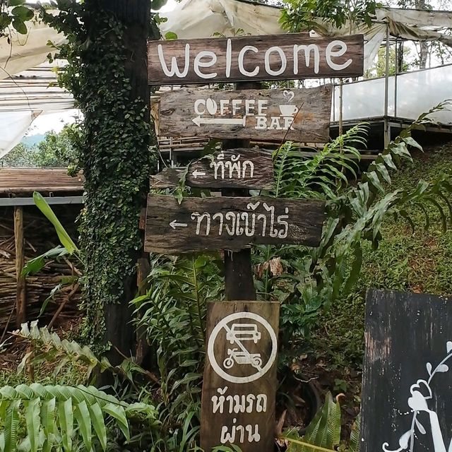 ไร่กาแฟครอบครัวมะ ปางขอน