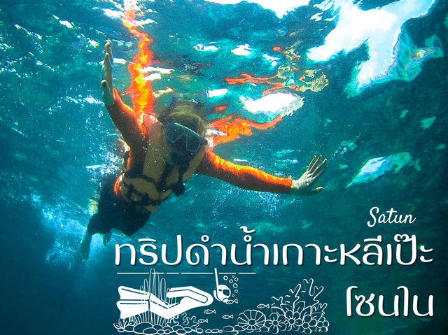 รีวิว ดำน้ำตื้นเกาะหลีเป๊ะ โซนใน 🐠