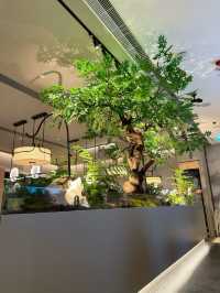深圳綠茶餐廳開到嚟香港
