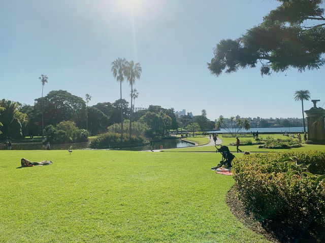 Royal Botanic Garden Sydney